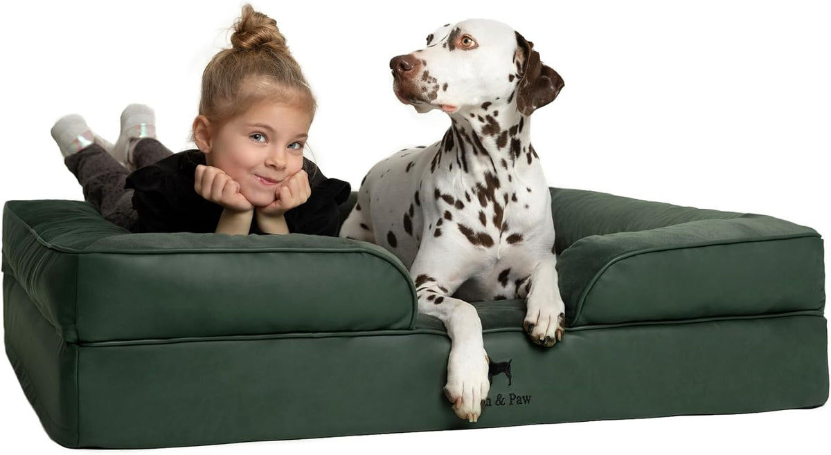 XL Dog Bed, 45x35x11 Inch, Orthopedic Large Dog Beds, Eggshell Memory Foam Infused with Cooling Gel, Inner Cover, Water Resistant, Machine Washable