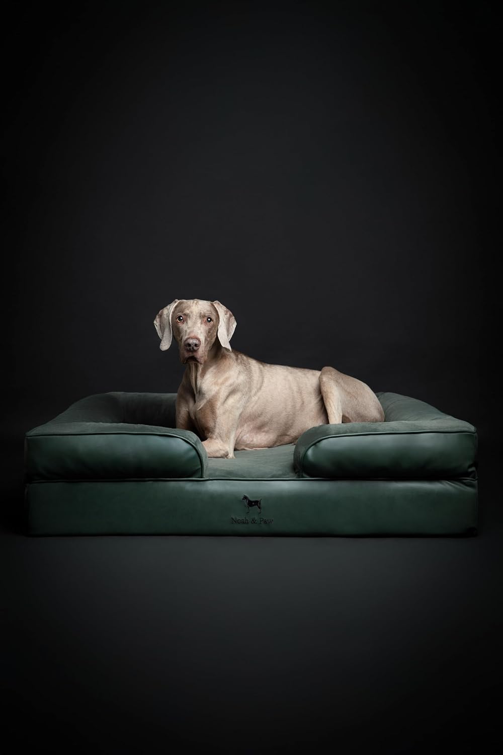 XL Dog Bed, 45x35x11 Inch, Orthopedic Large Dog Beds, Eggshell Memory Foam Infused with Cooling Gel, Inner Cover, Water Resistant, Machine Washable