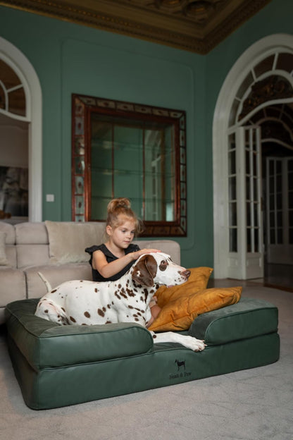 XL Dog Bed, 45x35x11 Inch, Orthopedic Large Dog Beds, Eggshell Memory Foam Infused with Cooling Gel, Inner Cover, Water Resistant, Machine Washable
