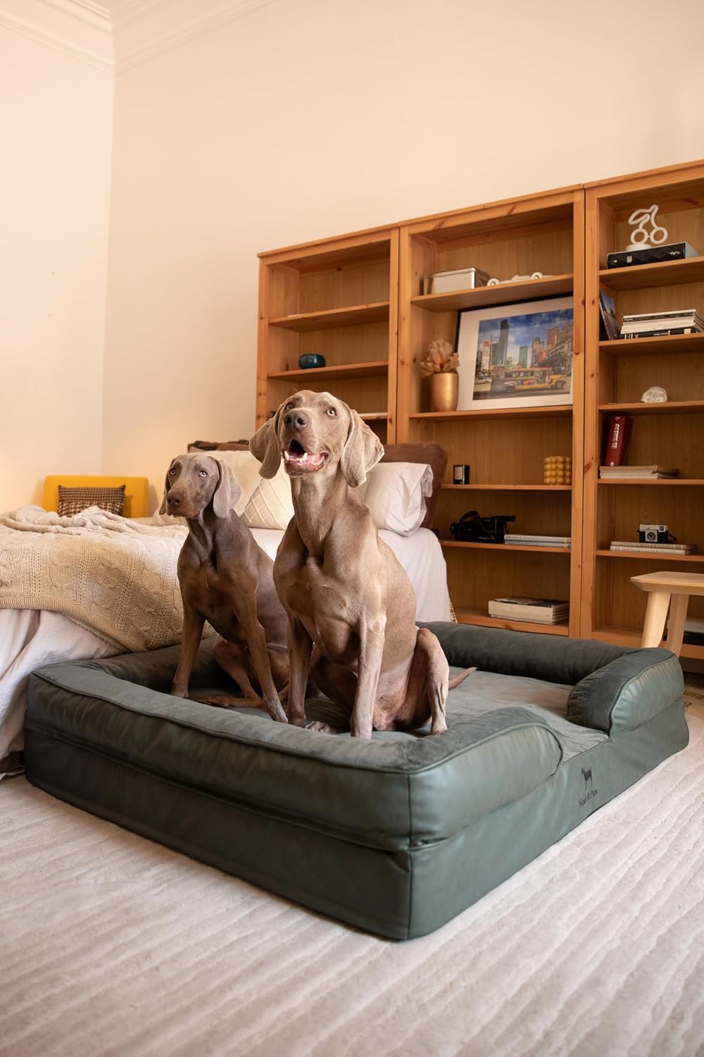 XL Dog Bed, 45x35x11 Inch, Orthopedic Large Dog Beds, Eggshell Memory Foam Infused with Cooling Gel, Inner Cover, Water Resistant, Machine Washable