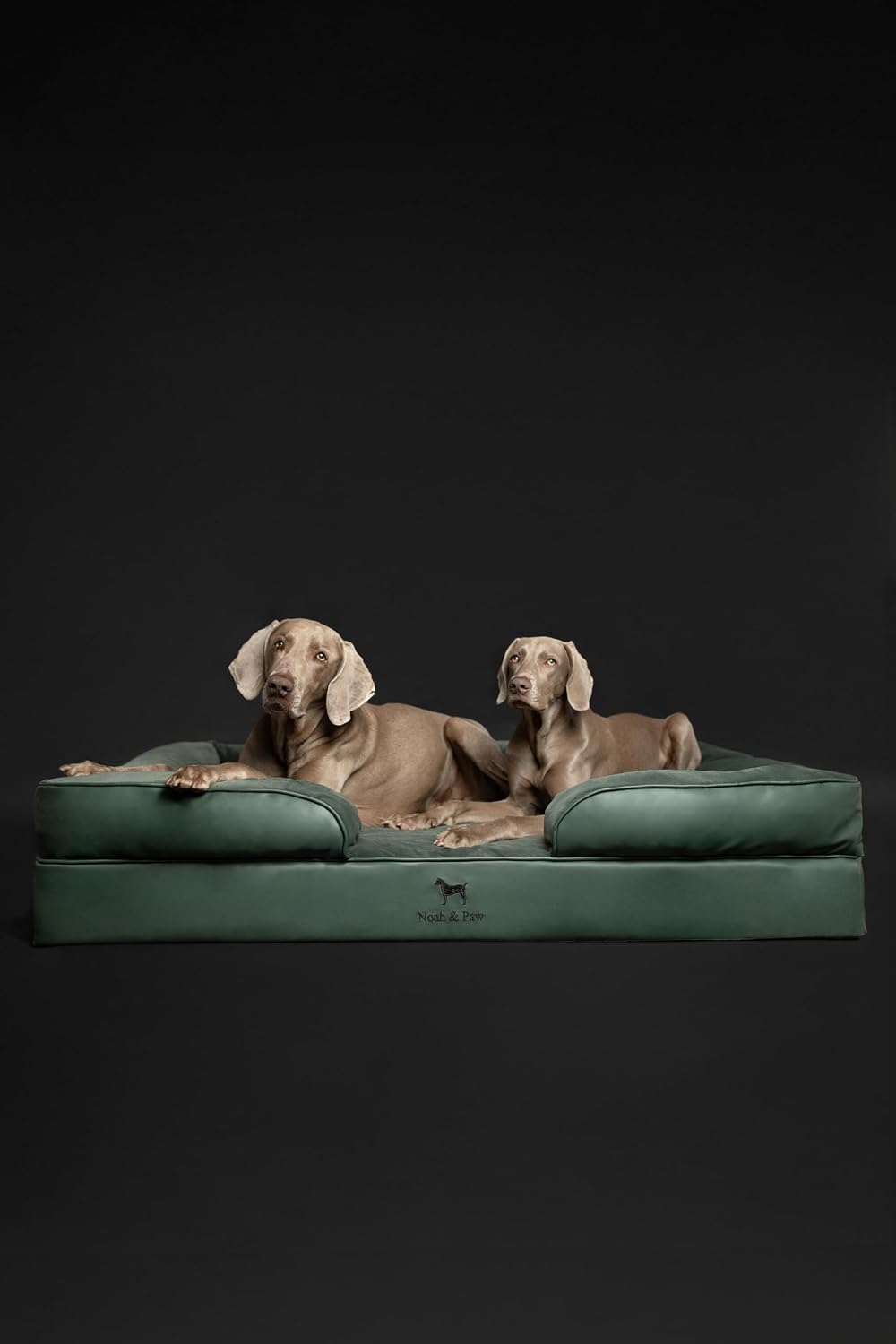 XL Dog Bed, 45x35x11 Inch, Orthopedic Large Dog Beds, Eggshell Memory Foam Infused with Cooling Gel, Inner Cover, Water Resistant, Machine Washable