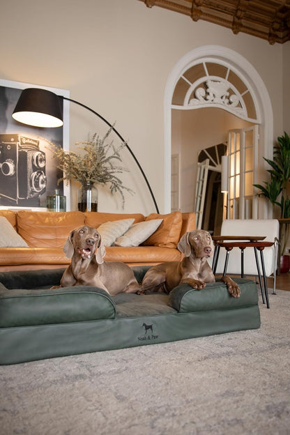 XL Dog Bed, 45x35x11 Inch, Orthopedic Large Dog Beds, Eggshell Memory Foam Infused with Cooling Gel, Inner Cover, Water Resistant, Machine Washable