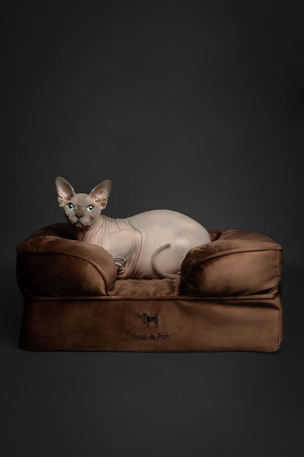 XL Dog Bed, 45x35x11 Inch, Orthopedic Large Dog Beds, Eggshell Memory Foam Infused with Cooling Gel, Inner Cover, Water Resistant, Machine Washable
