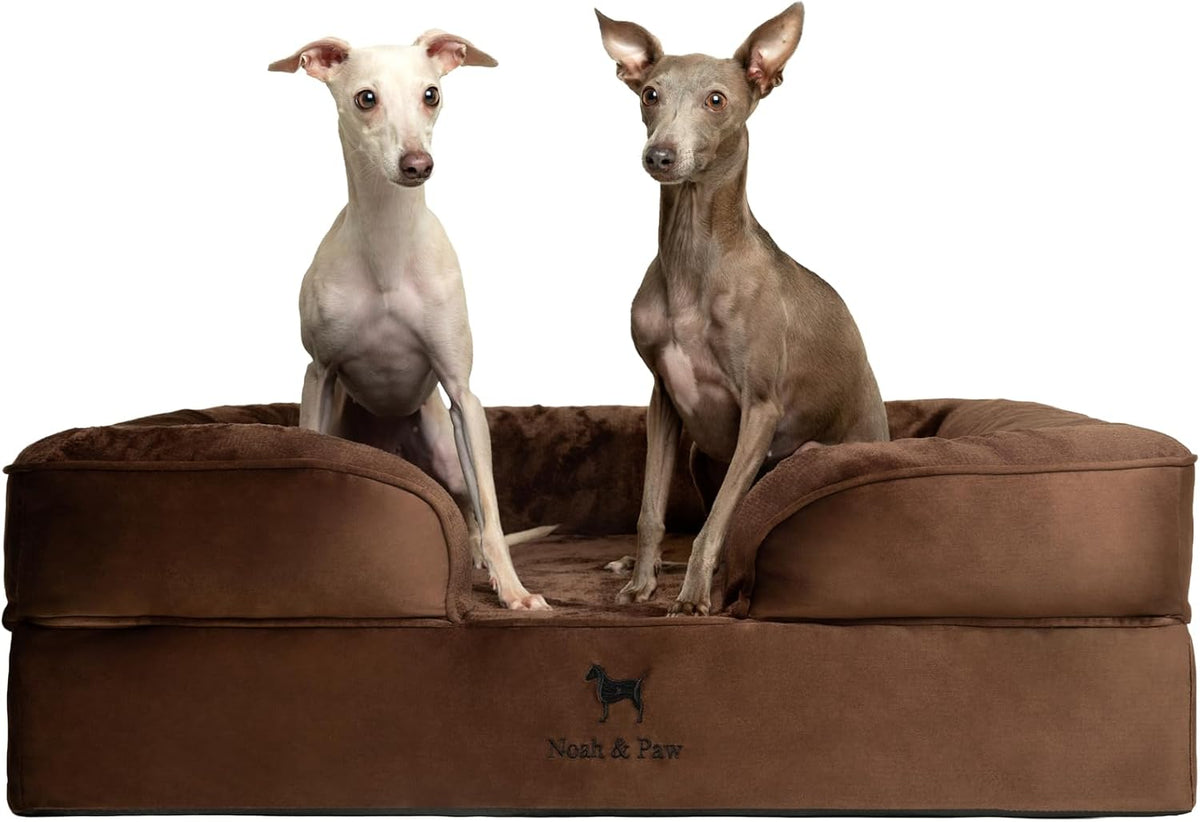 XL Dog Bed, 45x35x11 Inch, Orthopedic Large Dog Beds, Eggshell Memory Foam Infused with Cooling Gel, Inner Cover, Water Resistant, Machine Washable