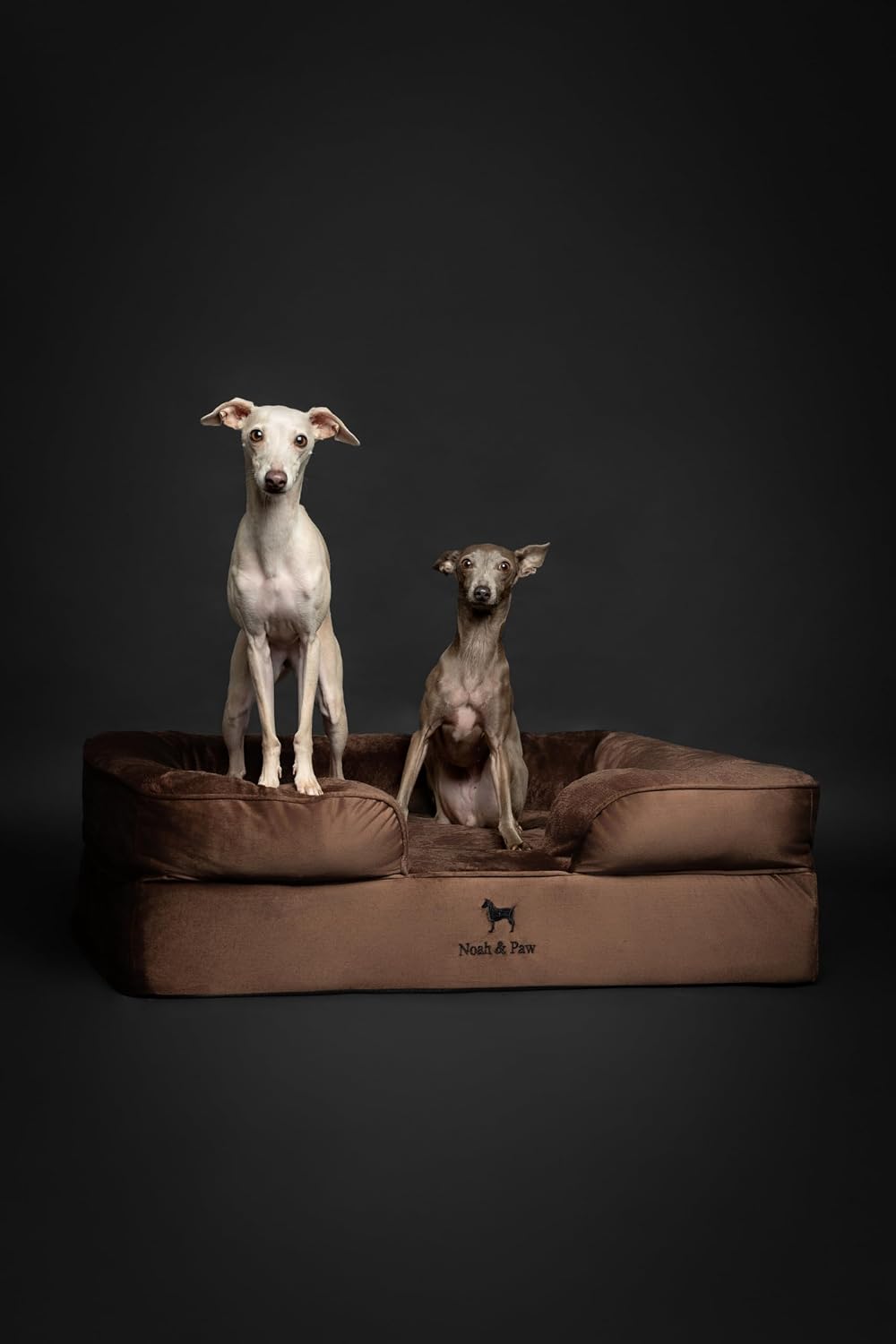XL Dog Bed, 45x35x11 Inch, Orthopedic Large Dog Beds, Eggshell Memory Foam Infused with Cooling Gel, Inner Cover, Water Resistant, Machine Washable