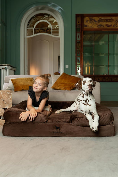 XL Dog Bed, 45x35x11 Inch, Orthopedic Large Dog Beds, Eggshell Memory Foam Infused with Cooling Gel, Inner Cover, Water Resistant, Machine Washable