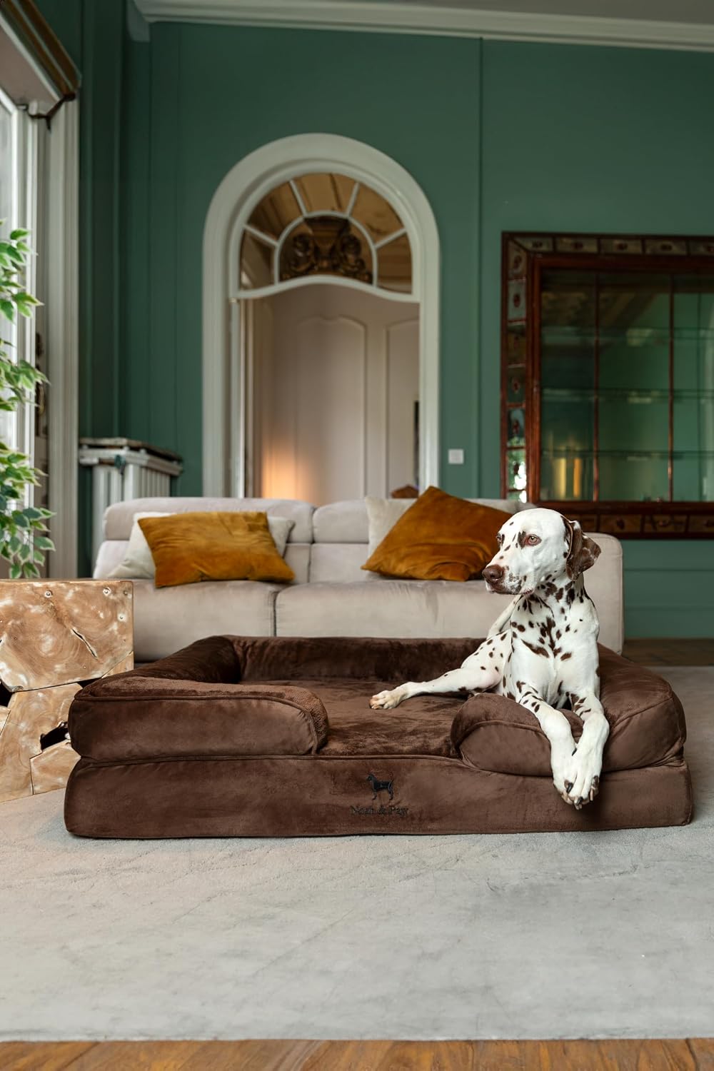 XL Dog Bed, 45x35x11 Inch, Orthopedic Large Dog Beds, Eggshell Memory Foam Infused with Cooling Gel, Inner Cover, Water Resistant, Machine Washable