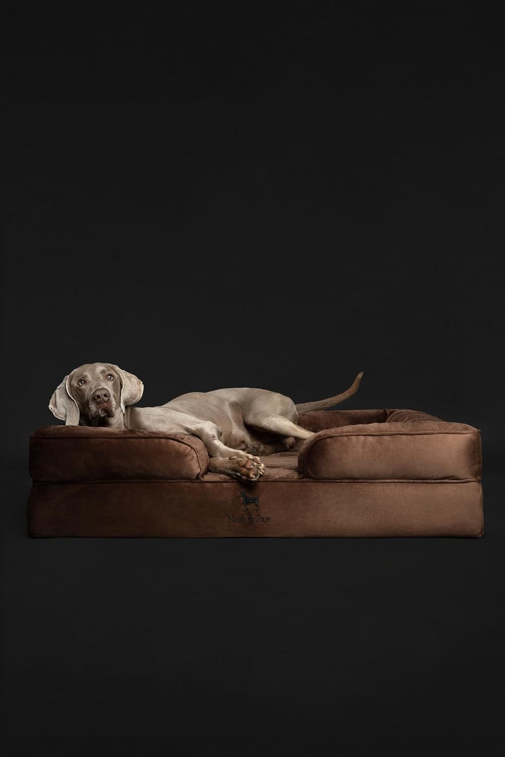 XL Dog Bed, 45x35x11 Inch, Orthopedic Large Dog Beds, Eggshell Memory Foam Infused with Cooling Gel, Inner Cover, Water Resistant, Machine Washable