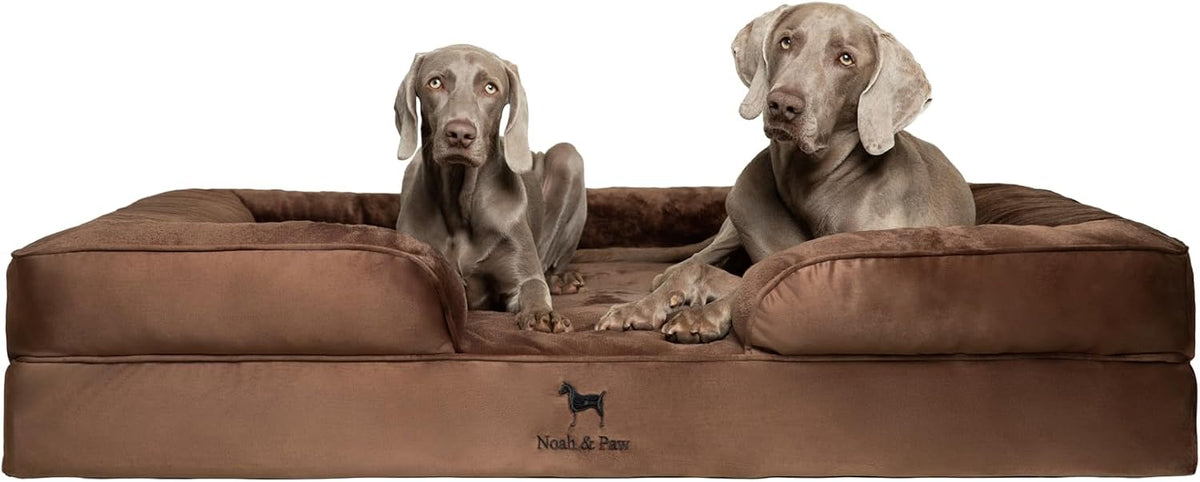 XL Dog Bed, 45x35x11 Inch, Orthopedic Large Dog Beds, Eggshell Memory Foam Infused with Cooling Gel, Inner Cover, Water Resistant, Machine Washable