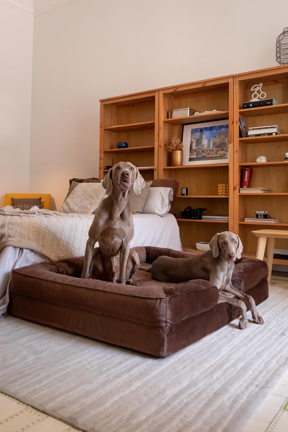 XL Dog Bed, 45x35x11 Inch, Orthopedic Large Dog Beds, Eggshell Memory Foam Infused with Cooling Gel, Inner Cover, Water Resistant, Machine Washable