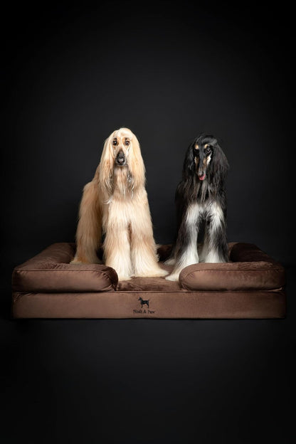 XL Dog Bed, 45x35x11 Inch, Orthopedic Large Dog Beds, Eggshell Memory Foam Infused with Cooling Gel, Inner Cover, Water Resistant, Machine Washable