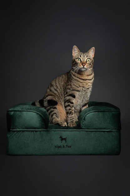 XL Dog Bed, 45x35x11 Inch, Orthopedic Large Dog Beds, Eggshell Memory Foam Infused with Cooling Gel, Inner Cover, Water Resistant, Machine Washable