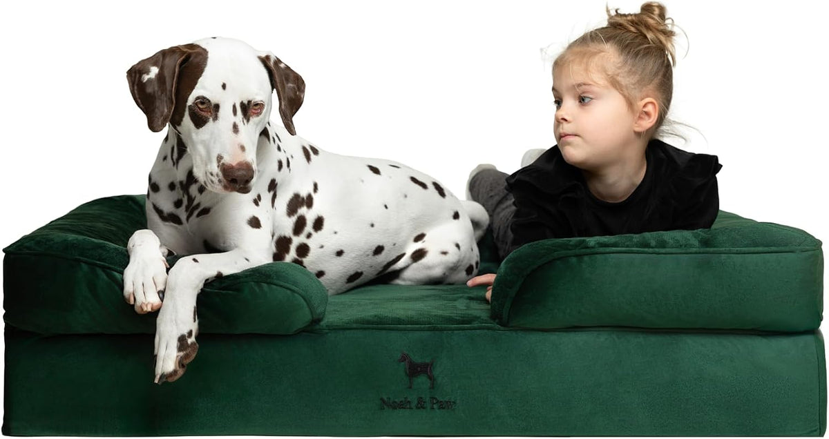 XL Dog Bed, 45x35x11 Inch, Orthopedic Large Dog Beds, Eggshell Memory Foam Infused with Cooling Gel, Inner Cover, Water Resistant, Machine Washable