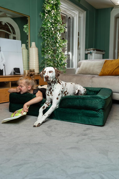 XL Dog Bed, 45x35x11 Inch, Orthopedic Large Dog Beds, Eggshell Memory Foam Infused with Cooling Gel, Inner Cover, Water Resistant, Machine Washable