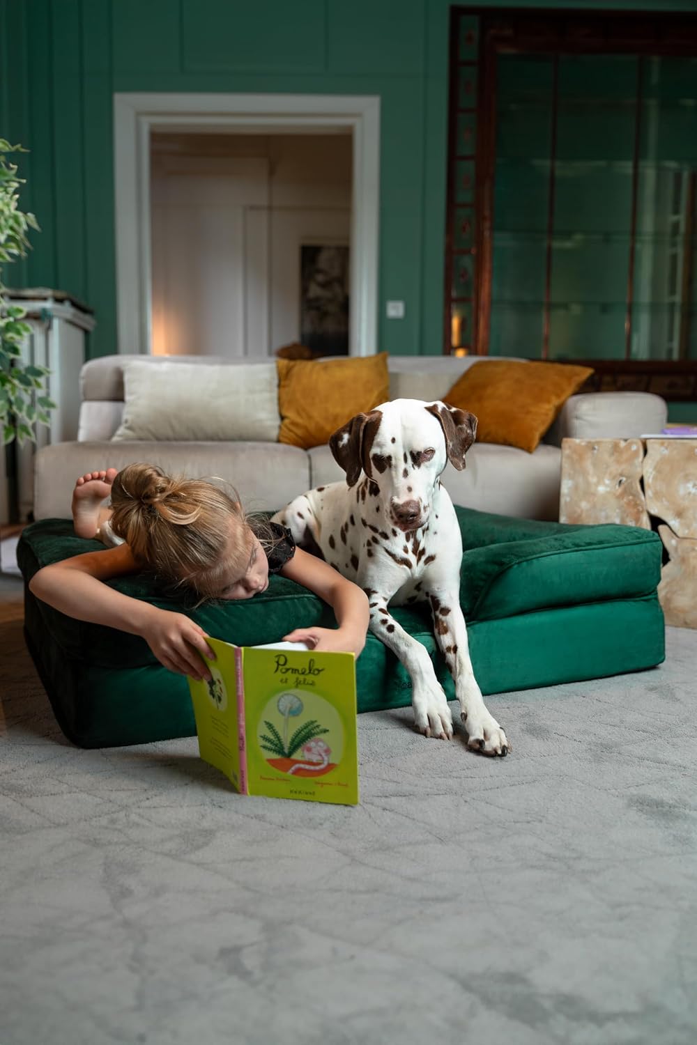 XL Dog Bed, 45x35x11 Inch, Orthopedic Large Dog Beds, Eggshell Memory Foam Infused with Cooling Gel, Inner Cover, Water Resistant, Machine Washable