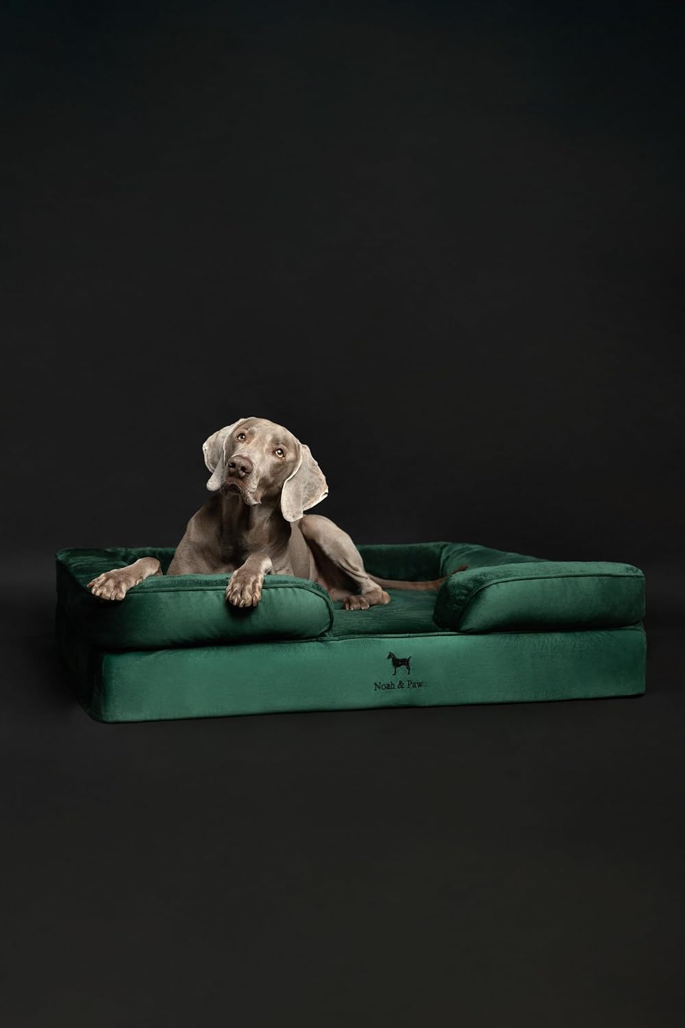 XL Dog Bed, 45x35x11 Inch, Orthopedic Large Dog Beds, Eggshell Memory Foam Infused with Cooling Gel, Inner Cover, Water Resistant, Machine Washable
