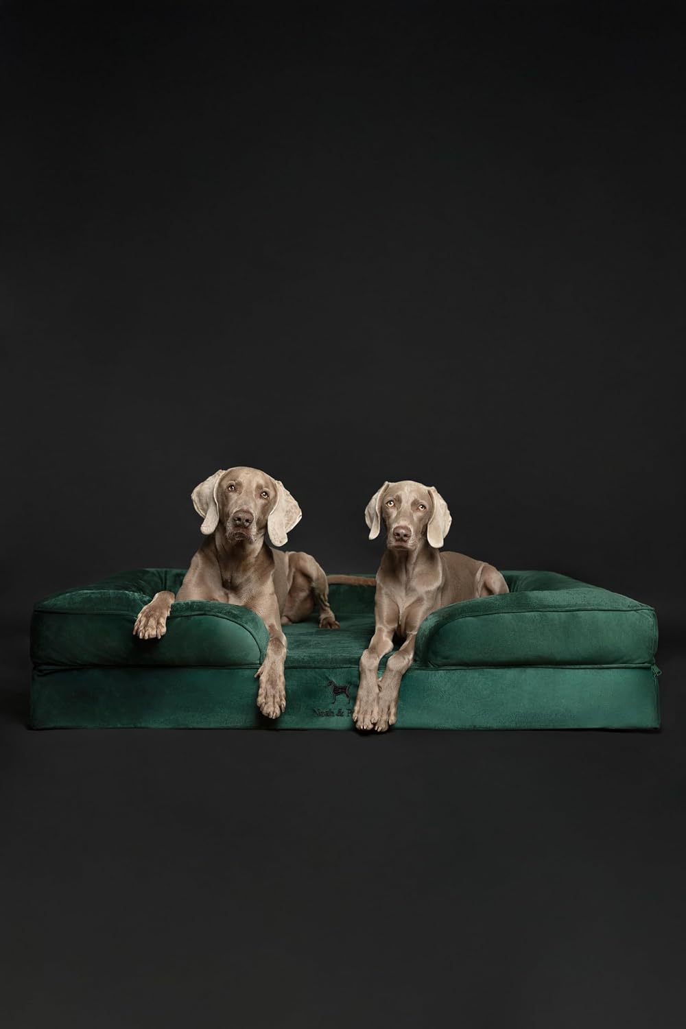 XL Dog Bed, 45x35x11 Inch, Orthopedic Large Dog Beds, Eggshell Memory Foam Infused with Cooling Gel, Inner Cover, Water Resistant, Machine Washable