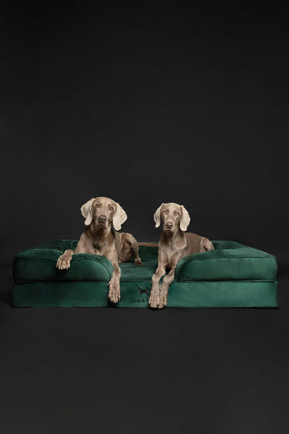 XL Dog Bed, 45x35x11 Inch, Orthopedic Large Dog Beds, Eggshell Memory Foam Infused with Cooling Gel, Inner Cover, Water Resistant, Machine Washable