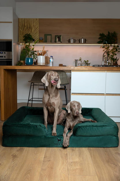 XL Dog Bed, 45x35x11 Inch, Orthopedic Large Dog Beds, Eggshell Memory Foam Infused with Cooling Gel, Inner Cover, Water Resistant, Machine Washable