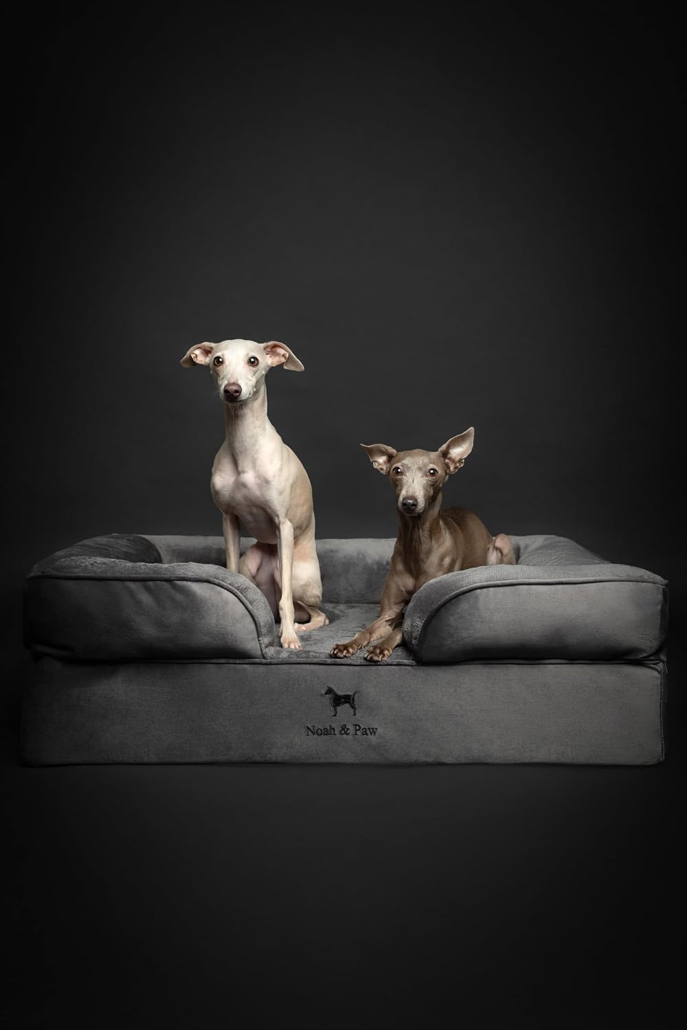 XL Dog Bed, 45x35x11 Inch, Orthopedic Large Dog Beds, Eggshell Memory Foam Infused with Cooling Gel, Inner Cover, Water Resistant, Machine Washable