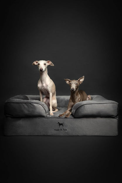 XL Dog Bed, 45x35x11 Inch, Orthopedic Large Dog Beds, Eggshell Memory Foam Infused with Cooling Gel, Inner Cover, Water Resistant, Machine Washable