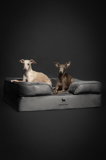 XL Dog Bed, 45x35x11 Inch, Orthopedic Large Dog Beds, Eggshell Memory Foam Infused with Cooling Gel, Inner Cover, Water Resistant, Machine Washable