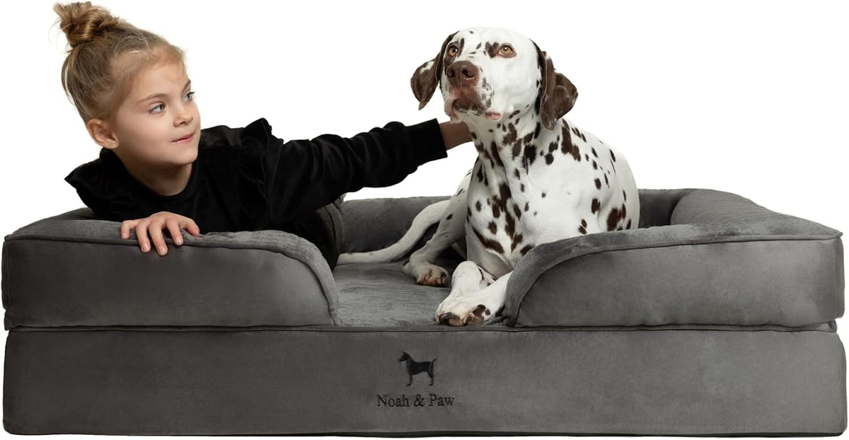 XL Dog Bed, 45x35x11 Inch, Orthopedic Large Dog Beds, Eggshell Memory Foam Infused with Cooling Gel, Inner Cover, Water Resistant, Machine Washable