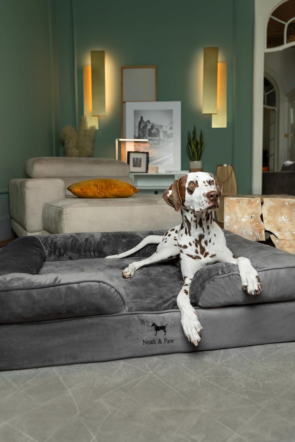 XL Dog Bed, 45x35x11 Inch, Orthopedic Large Dog Beds, Eggshell Memory Foam Infused with Cooling Gel, Inner Cover, Water Resistant, Machine Washable