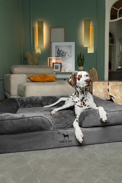 XL Dog Bed, 45x35x11 Inch, Orthopedic Large Dog Beds, Eggshell Memory Foam Infused with Cooling Gel, Inner Cover, Water Resistant, Machine Washable