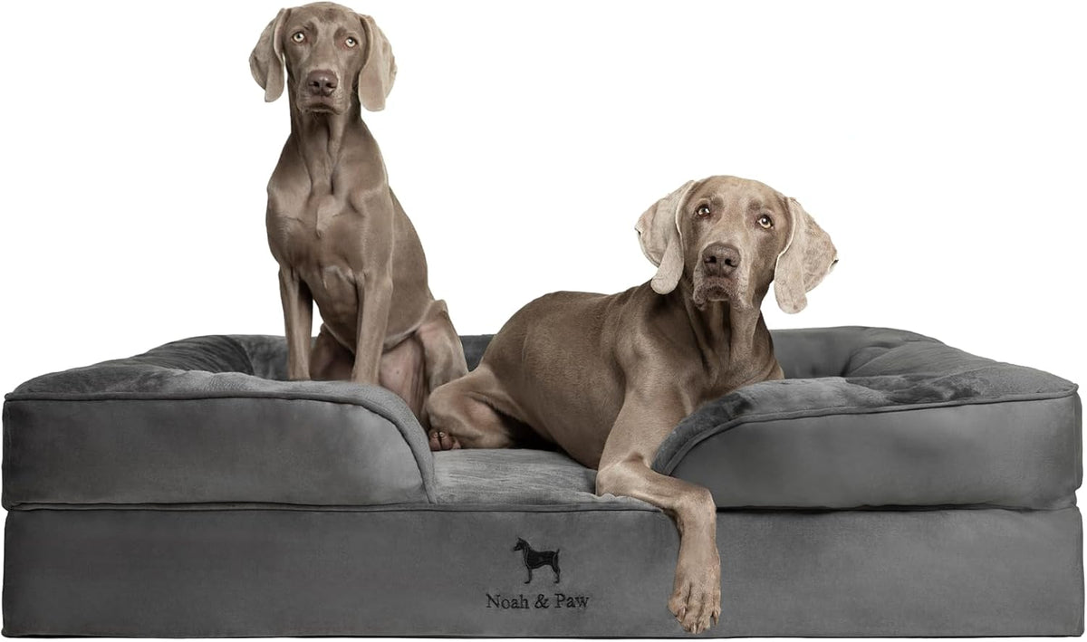 XL Dog Bed, 45x35x11 Inch, Orthopedic Large Dog Beds, Eggshell Memory Foam Infused with Cooling Gel, Inner Cover, Water Resistant, Machine Washable