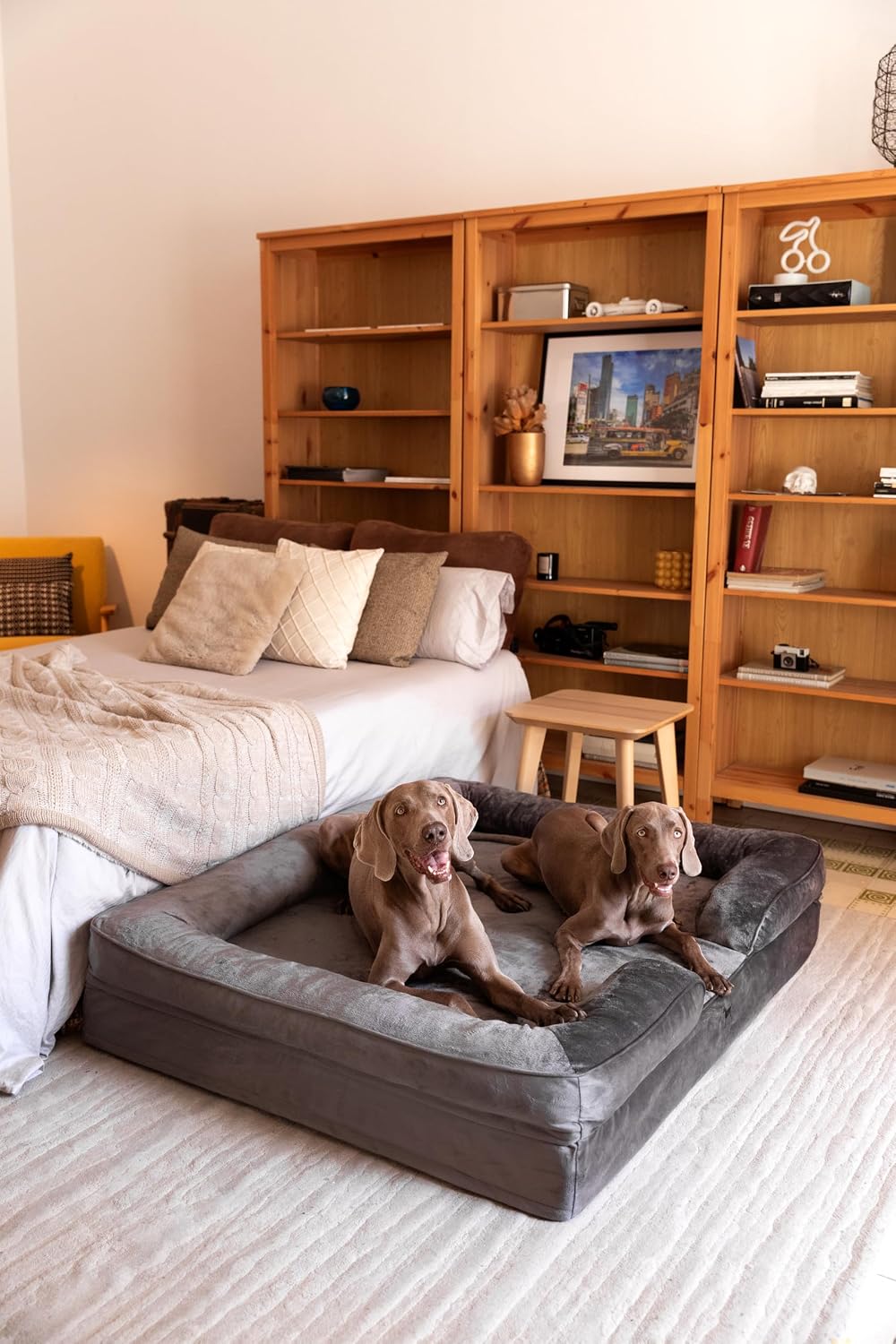 XL Dog Bed, 45x35x11 Inch, Orthopedic Large Dog Beds, Eggshell Memory Foam Infused with Cooling Gel, Inner Cover, Water Resistant, Machine Washable
