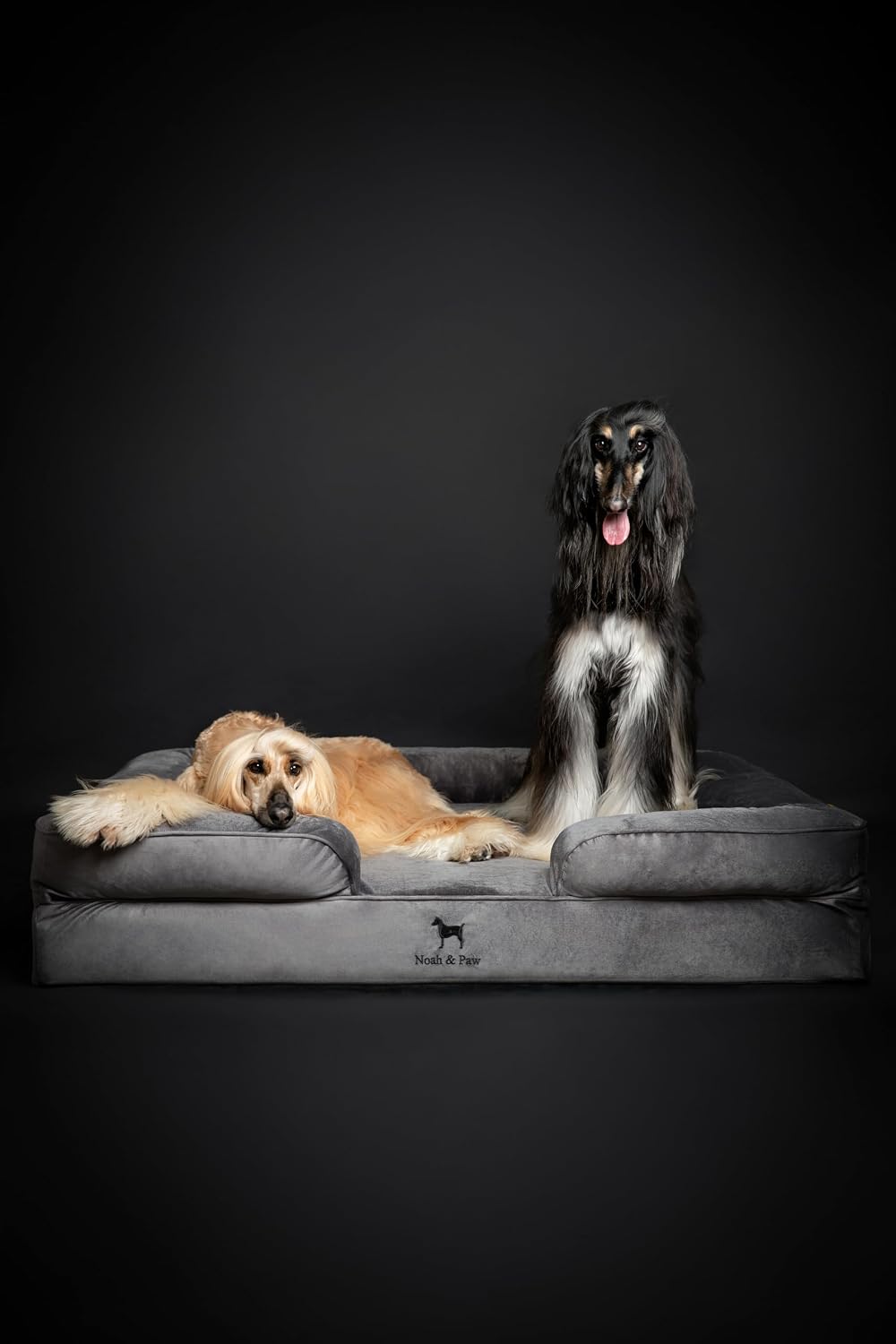 XL Dog Bed, 45x35x11 Inch, Orthopedic Large Dog Beds, Eggshell Memory Foam Infused with Cooling Gel, Inner Cover, Water Resistant, Machine Washable