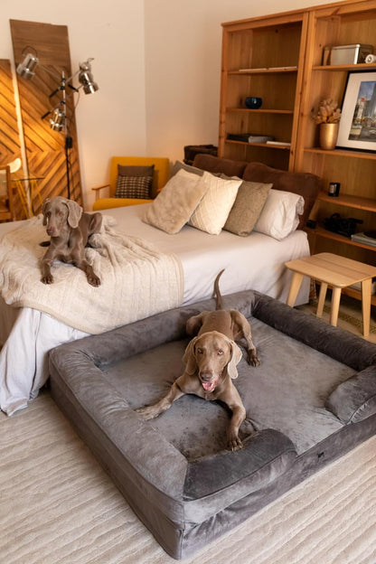 XL Dog Bed, 45x35x11 Inch, Orthopedic Large Dog Beds, Eggshell Memory Foam Infused with Cooling Gel, Inner Cover, Water Resistant, Machine Washable
