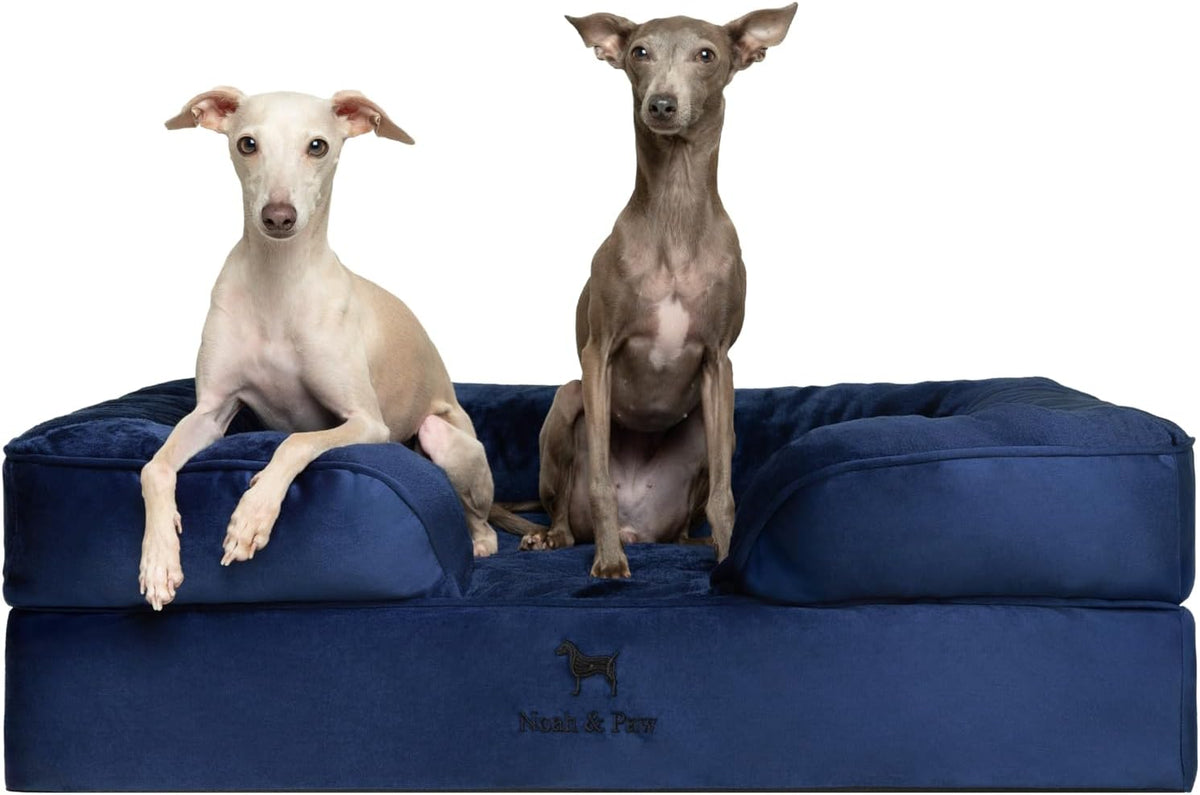 XL Dog Bed, 45x35x11 Inch, Orthopedic Large Dog Beds, Eggshell Memory Foam Infused with Cooling Gel, Inner Cover, Water Resistant, Machine Washable