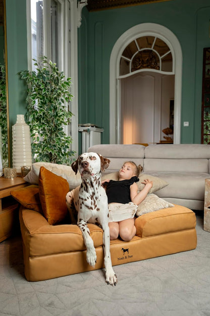 XL Dog Bed, 45x35x11 Inch, Orthopedic Large Dog Beds, Eggshell Memory Foam Infused with Cooling Gel, Inner Cover, Water Resistant, Machine Washable