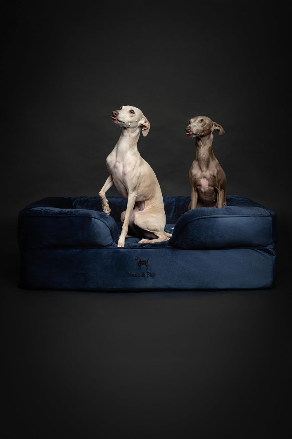 XL Dog Bed, 45x35x11 Inch, Orthopedic Large Dog Beds, Eggshell Memory Foam Infused with Cooling Gel, Inner Cover, Water Resistant, Machine Washable