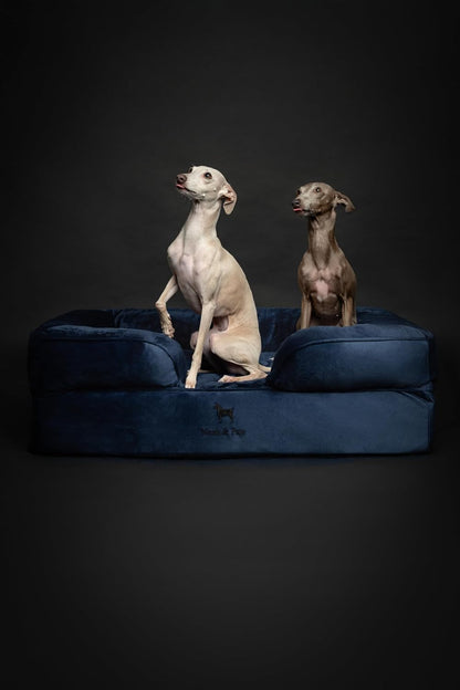 XL Dog Bed, 45x35x11 Inch, Orthopedic Large Dog Beds, Eggshell Memory Foam Infused with Cooling Gel, Inner Cover, Water Resistant, Machine Washable