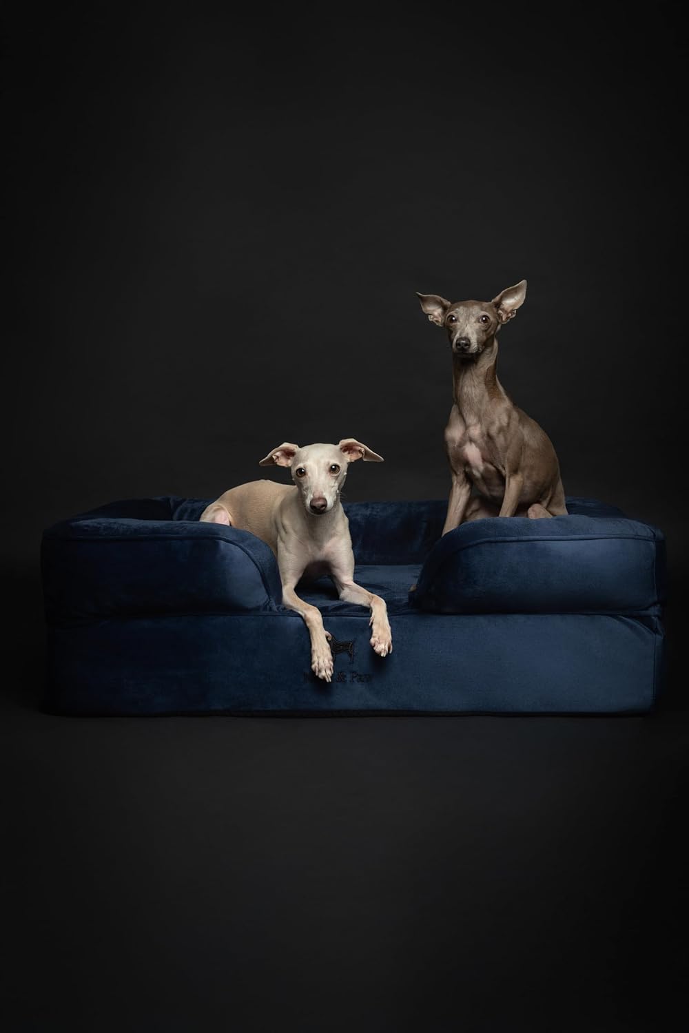 XL Dog Bed, 45x35x11 Inch, Orthopedic Large Dog Beds, Eggshell Memory Foam Infused with Cooling Gel, Inner Cover, Water Resistant, Machine Washable