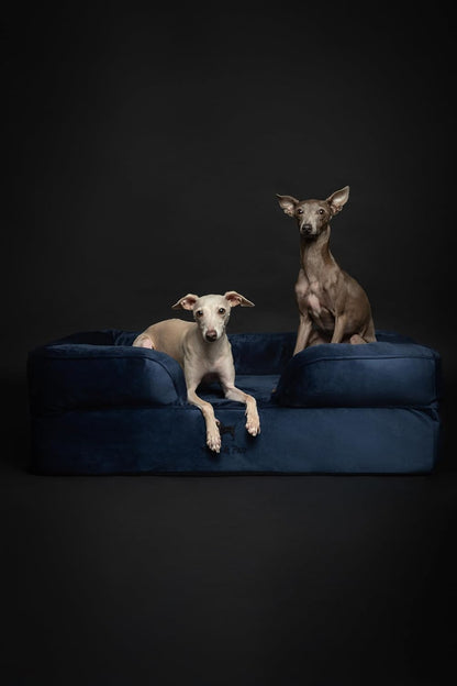 XL Dog Bed, 45x35x11 Inch, Orthopedic Large Dog Beds, Eggshell Memory Foam Infused with Cooling Gel, Inner Cover, Water Resistant, Machine Washable