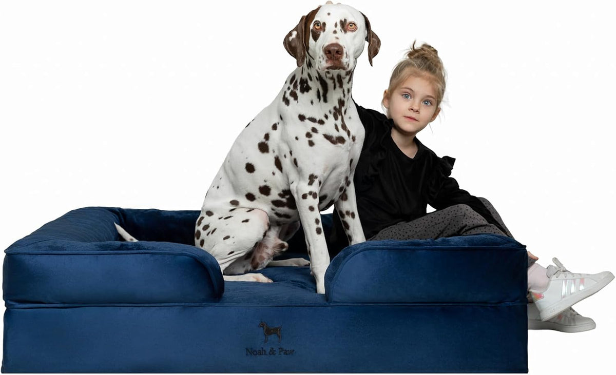 XL Dog Bed, 45x35x11 Inch, Orthopedic Large Dog Beds, Eggshell Memory Foam Infused with Cooling Gel, Inner Cover, Water Resistant, Machine Washable