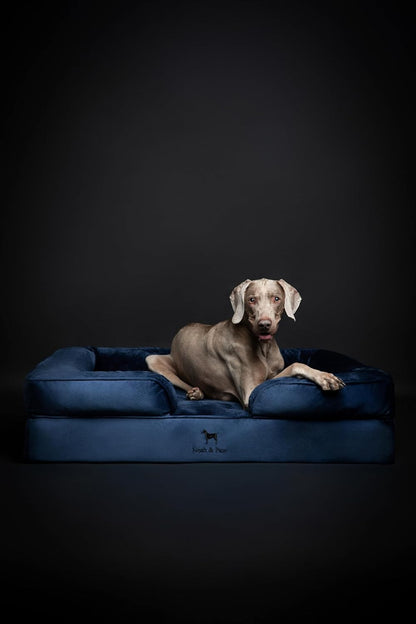 XL Dog Bed, 45x35x11 Inch, Orthopedic Large Dog Beds, Eggshell Memory Foam Infused with Cooling Gel, Inner Cover, Water Resistant, Machine Washable