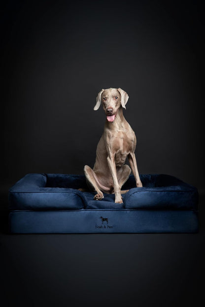 XL Dog Bed, 45x35x11 Inch, Orthopedic Large Dog Beds, Eggshell Memory Foam Infused with Cooling Gel, Inner Cover, Water Resistant, Machine Washable