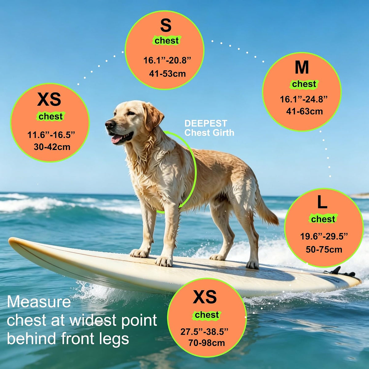 Dog Life Jacket with Double Rescue Handle, Reflective Dog Life Vest for Swimming Boating, Adjustable Pet Swim Vest Dog Flotation Device DFD for Small Medium Large Dogs - Green M