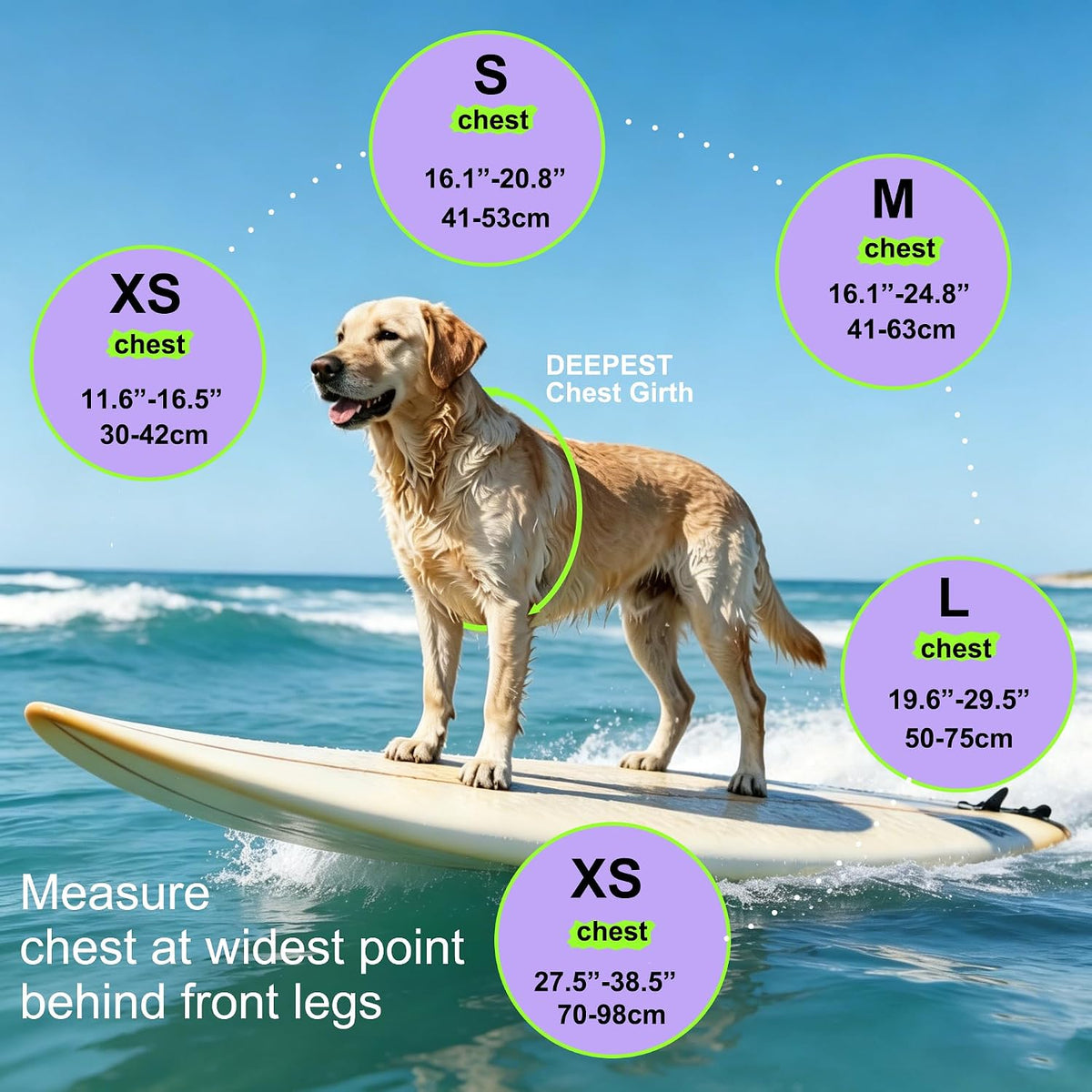 Dog Life Jacket with Double Rescue Handle, Reflective Dog Life Vest for Swimming Boating, Adjustable Pet Swim Vest Dog Flotation Device DFD for Small Medium Large Dogs - Green M