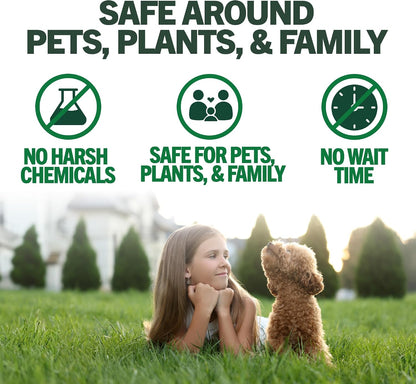Flea & Tick, Mosquito, Yard & Kennel Spray for Dogs, 32 oz