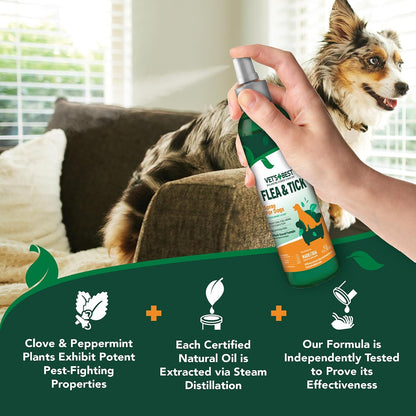 Flea & Tick, Mosquito, Yard & Kennel Spray for Dogs, 32 oz