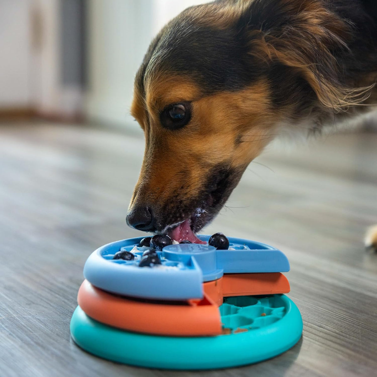 Nina Ottosson Lickin’ Layers 3-in-1 Dog Toy Treat Puzzle, 7"