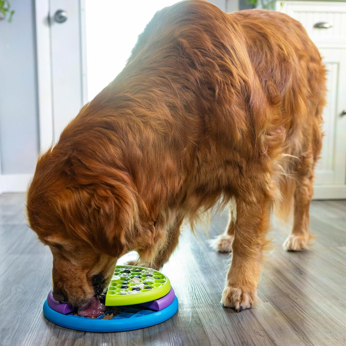 Nina Ottosson Lickin’ Layers 3-in-1 Dog Toy Treat Puzzle, 7"