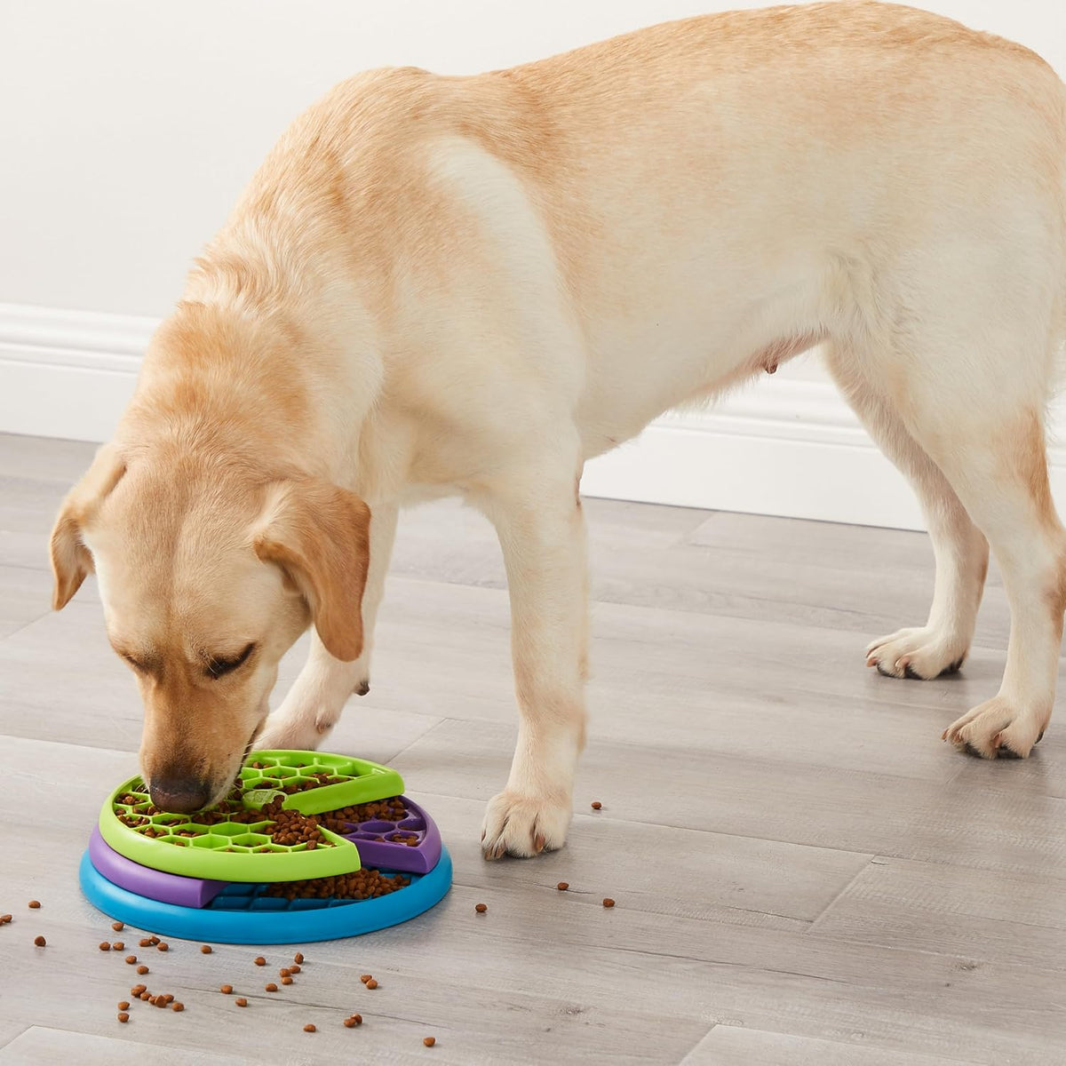 Nina Ottosson Lickin’ Layers 3-in-1 Dog Toy Treat Puzzle, 7"