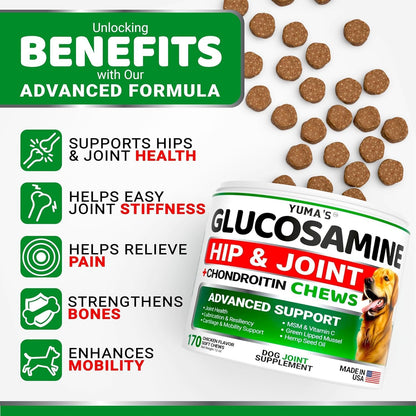 Dog Allergy Relief Chews - 240 Immune Treats, Dog Itching Skin Relief Pills